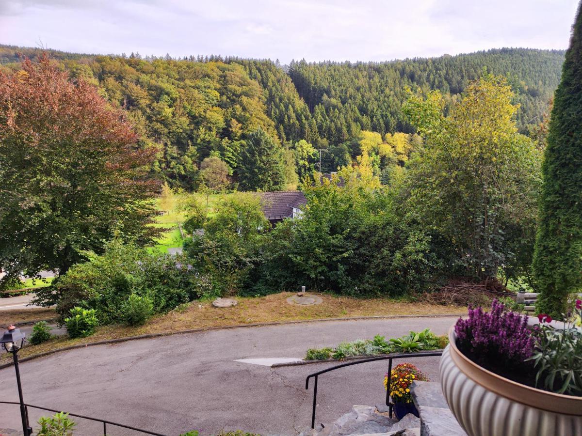 Wohlfuehloase Eifelsteig Villa Зимерат Екстериор снимка