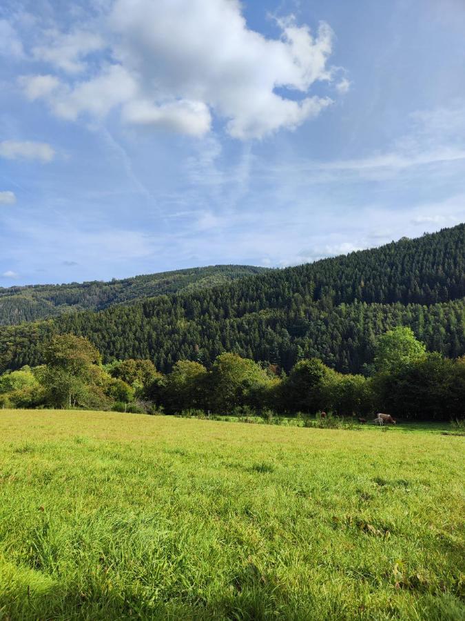 Wohlfuehloase Eifelsteig Villa Зимерат Екстериор снимка